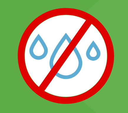 Semillas almacenadas